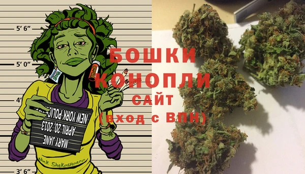 PSILOCYBIN Алексин