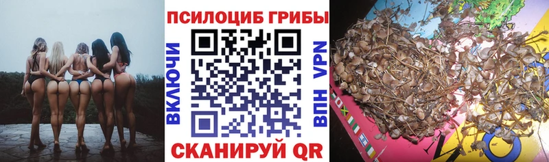 магазин Мирный Псилоцибиновые грибы GOLDEN TEACHER