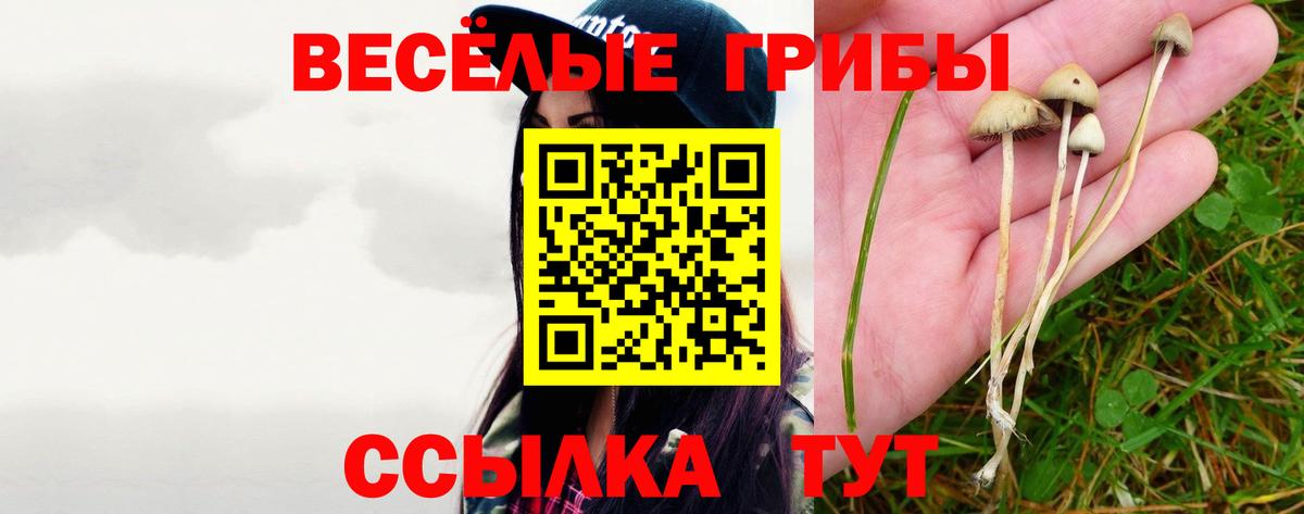 Псилоцибиновые грибы мицелий Мирный